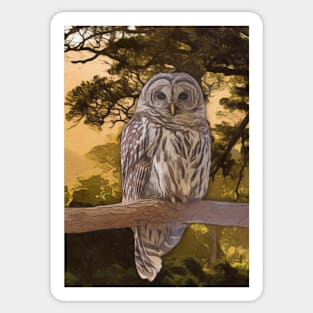 Tawny Owl Artwork Sticker